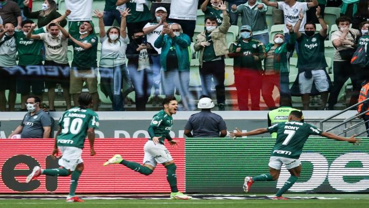 Palmeiras fans celebrating a goal